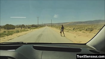 Transsexual Hitchhiker Fucked In The Ass free video